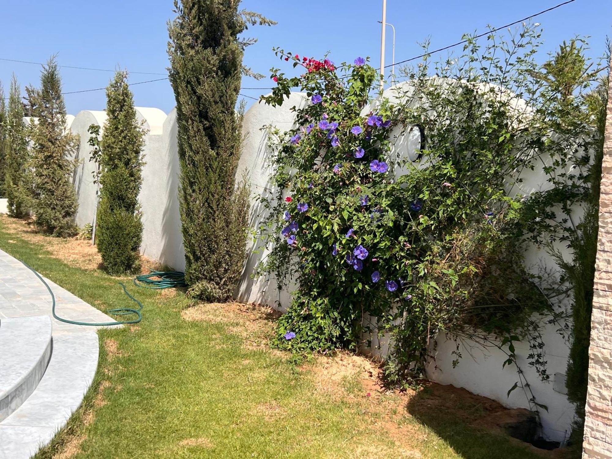 Villalina Haut Standing Djerba Ajim Εξωτερικό φωτογραφία